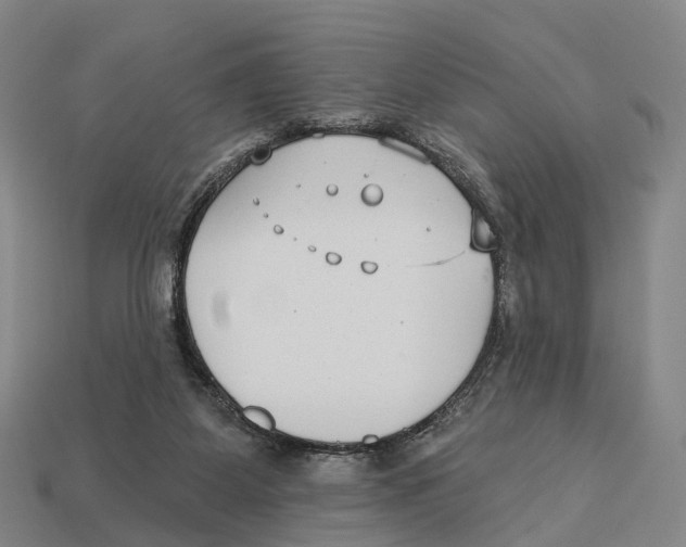 X0000113100115200909251039