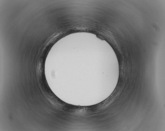 X0000113100116200909251039