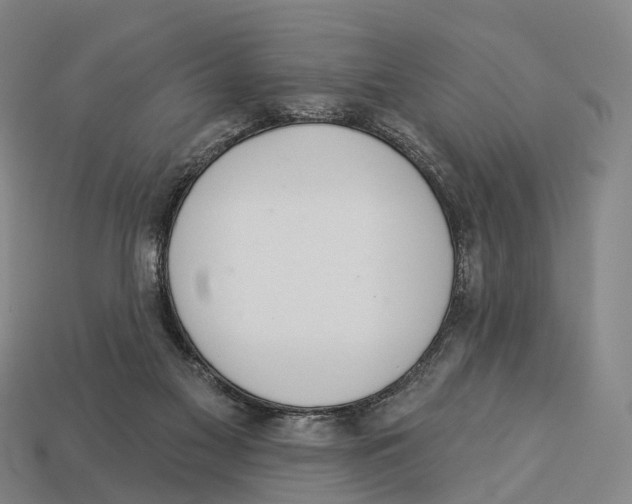 X0000113100117200909251039