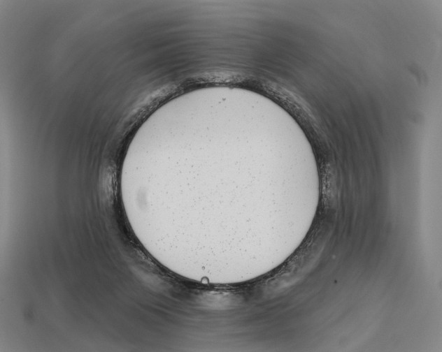 X0000113100119200909251039