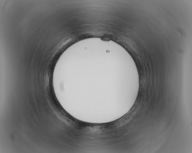 X0000113100120200909251039