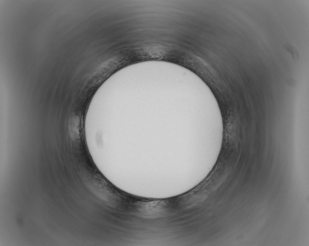 X0000113100122200909251039