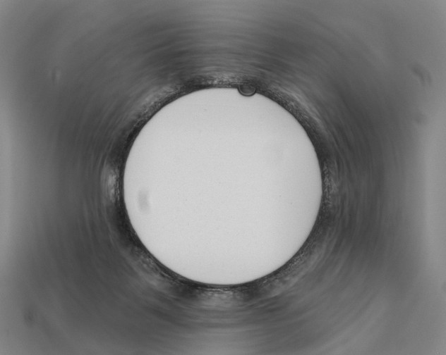 X0000113100123200909251039