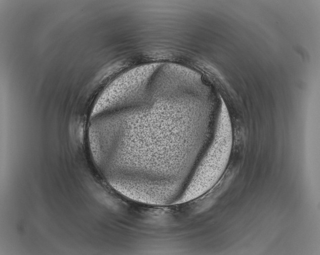 X0000113100124200909251039
