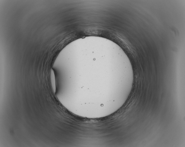 X0000113100125200909251039
