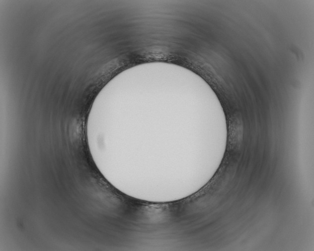 X0000113100126200909251039