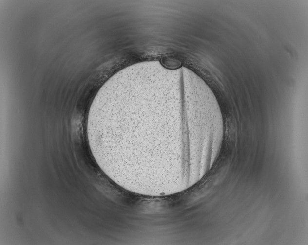 X0000113100127200909251039