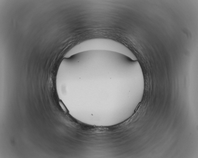 X0000113100128200909251039