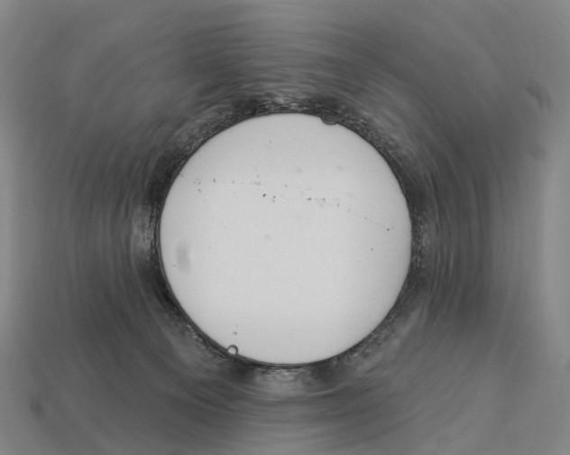 X0000113100129200909251039