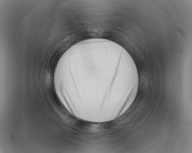 X0000113100130200909251039