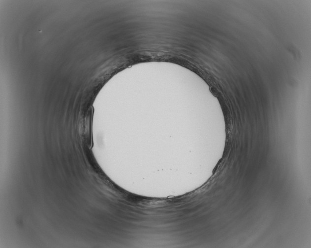 X0000113100132200909251039