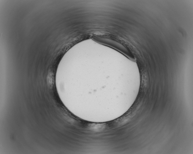 X0000113100135200909251039