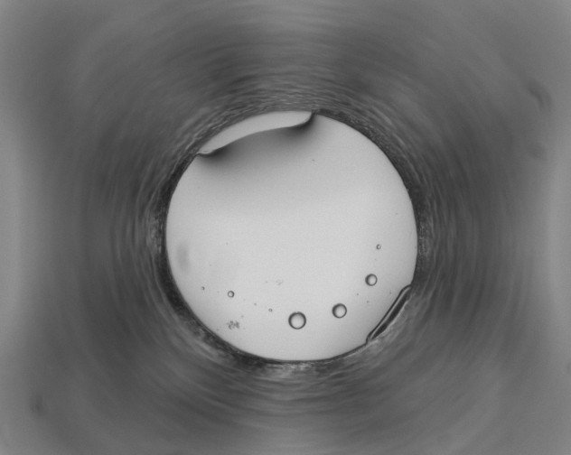 X0000113100136200909251039