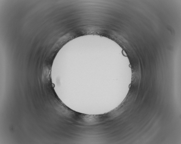 X0000113100142200909251039