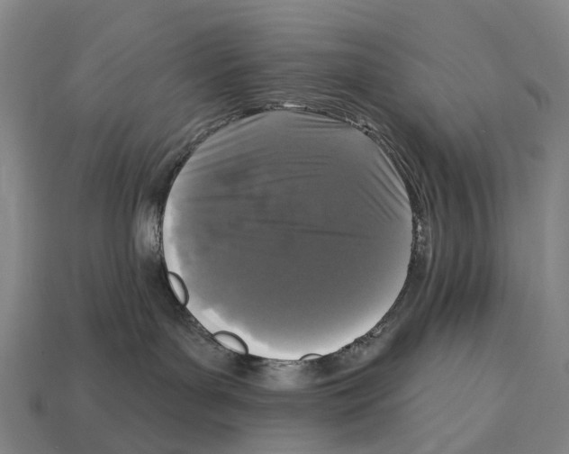 X0000113100143200909251039