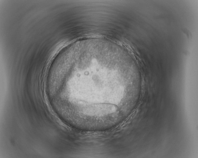 X0000113100145200909251038