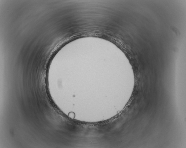 X0000113100146200909251038