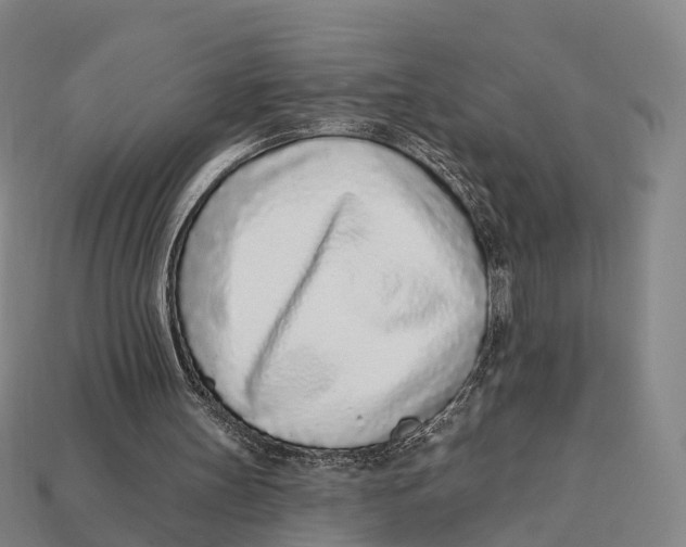 X0000113100147200909251038