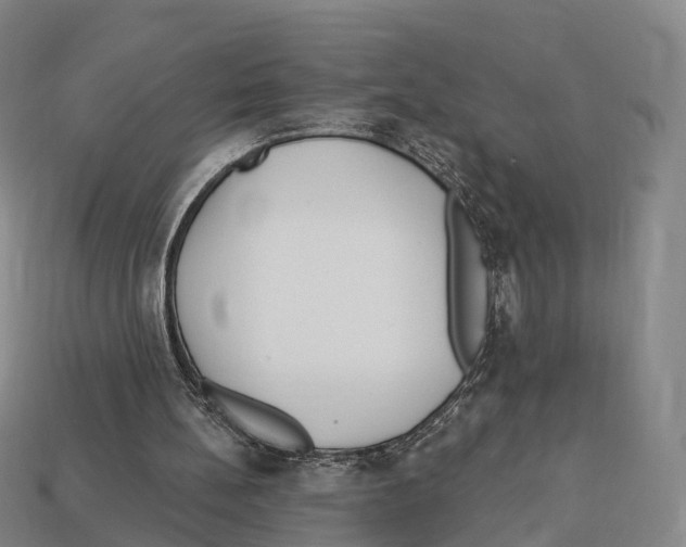 X0000113100148200909251038