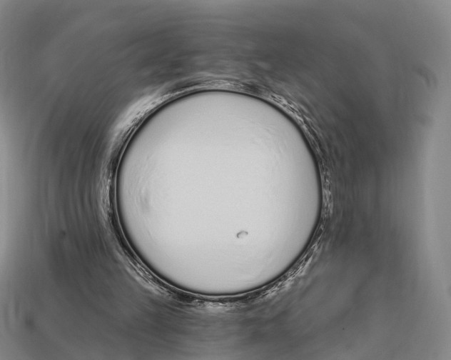 X0000113100149200909251038