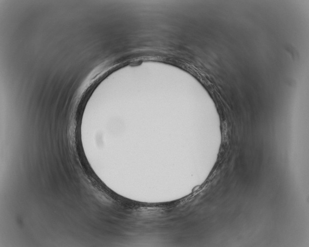 X0000113100150200909251038