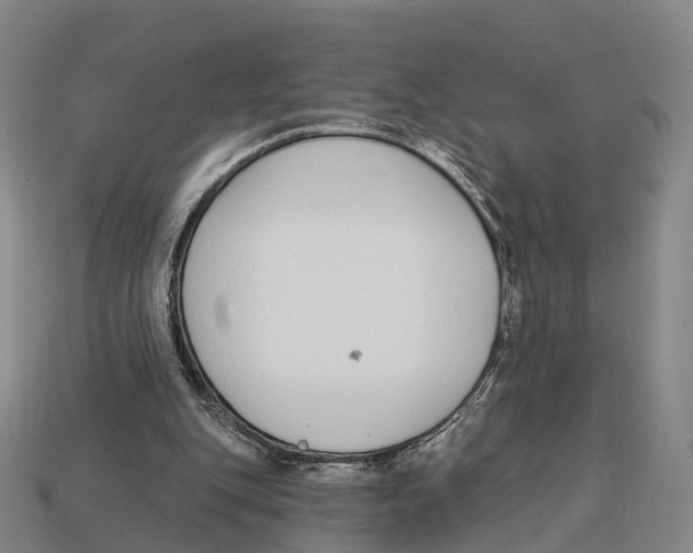 X0000113100151200909251038