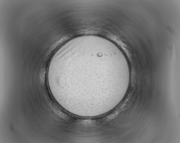 X0000113100153200909251038