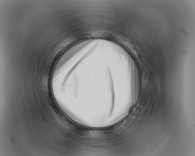 X0000113100154200909251038