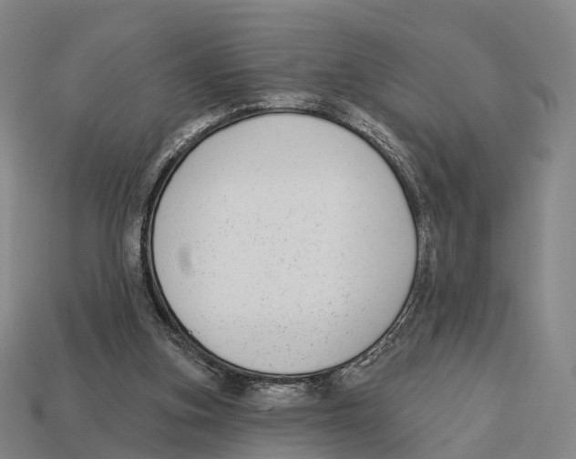 X0000113100155200909251038