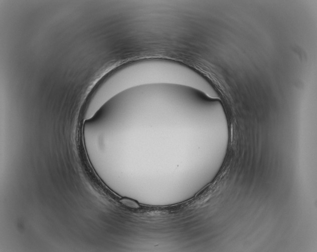 X0000113100156200909251038