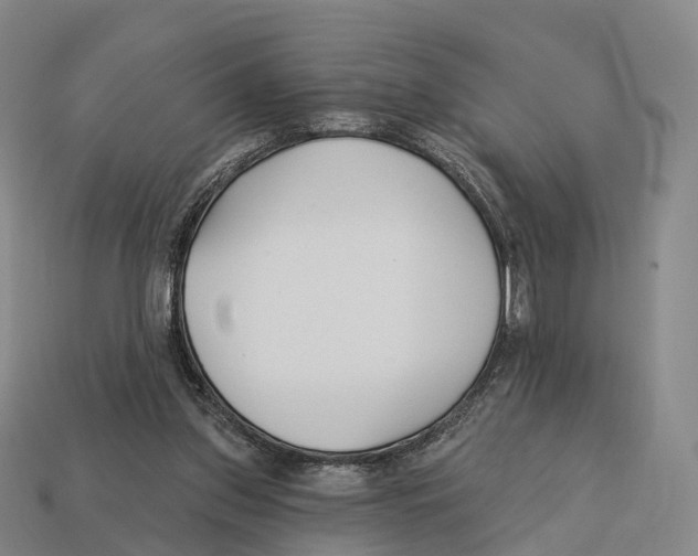 X0000113100157200909251038