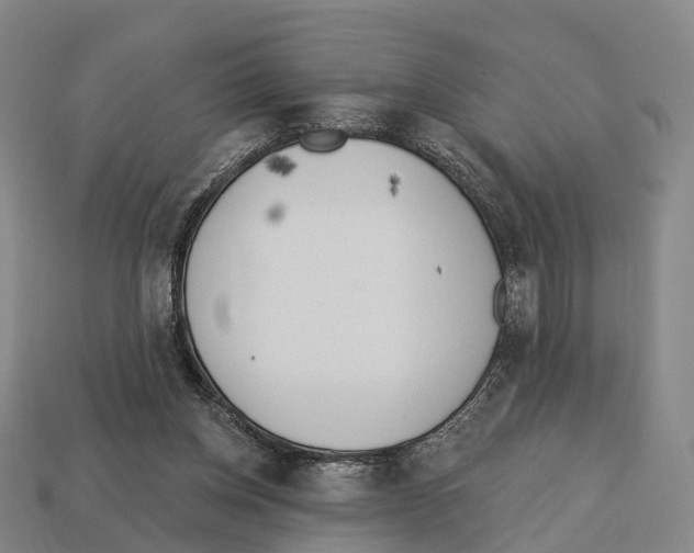 X0000113100158200909251038