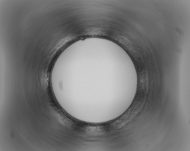 X0000113100160200909251038