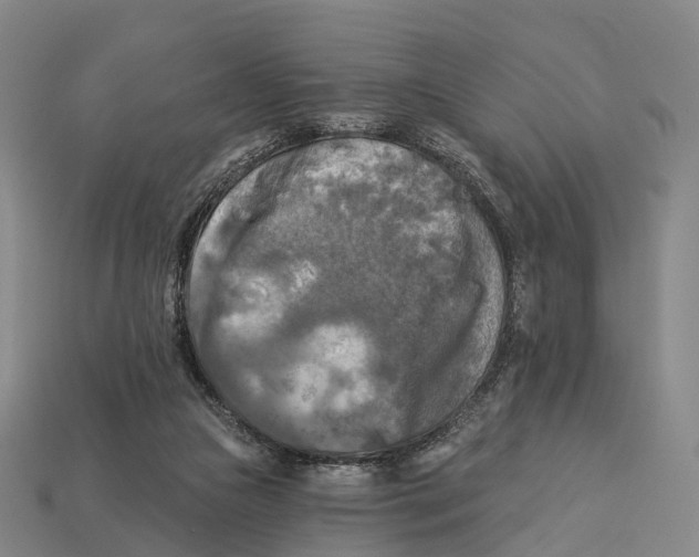 X0000113100161200909251038