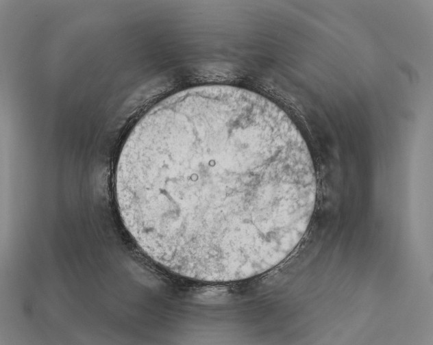 X0000113100162200909251038