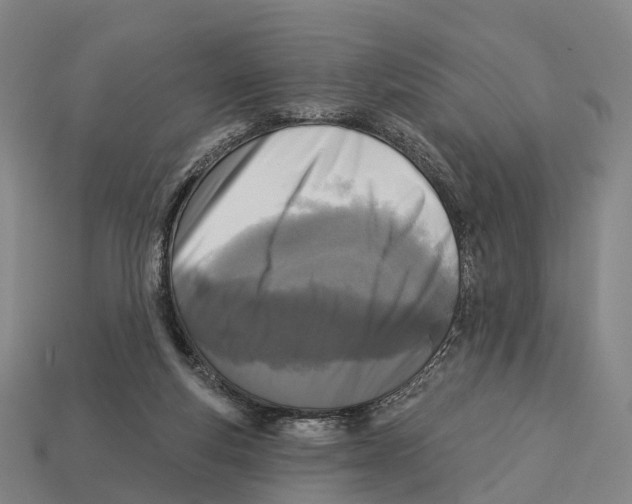 X0000113100163200909251038