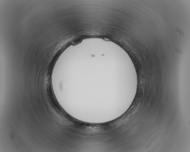X0000113100164200909251038