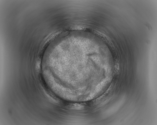 X0000113100166200909251038