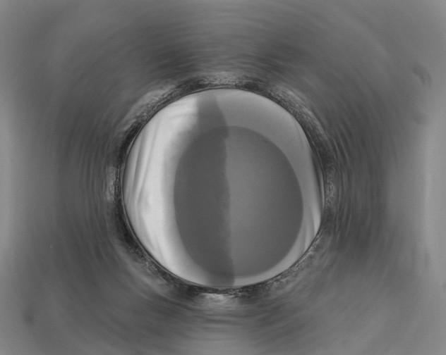 X0000113100167200909251038
