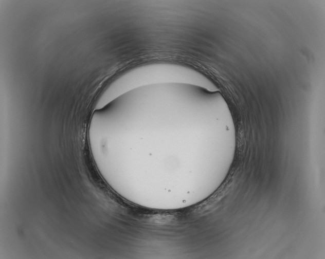 X0000113100168200909251038