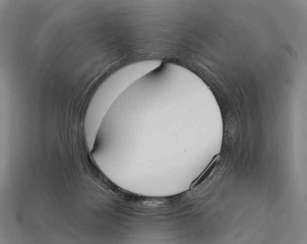 X0000113100172200909251038