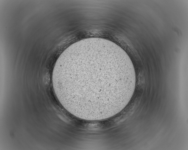 X0000113100173200909251038