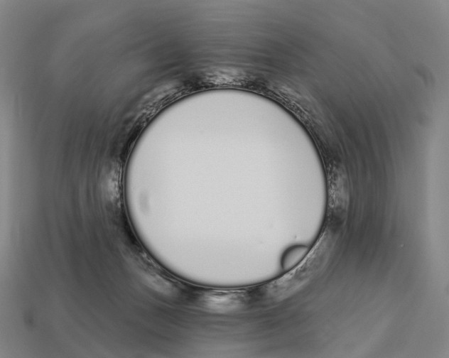X0000113100175200909251038