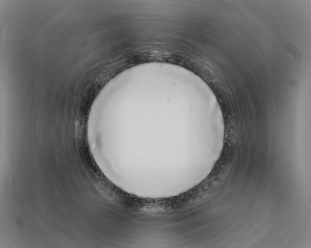 X0000113100177200909251039