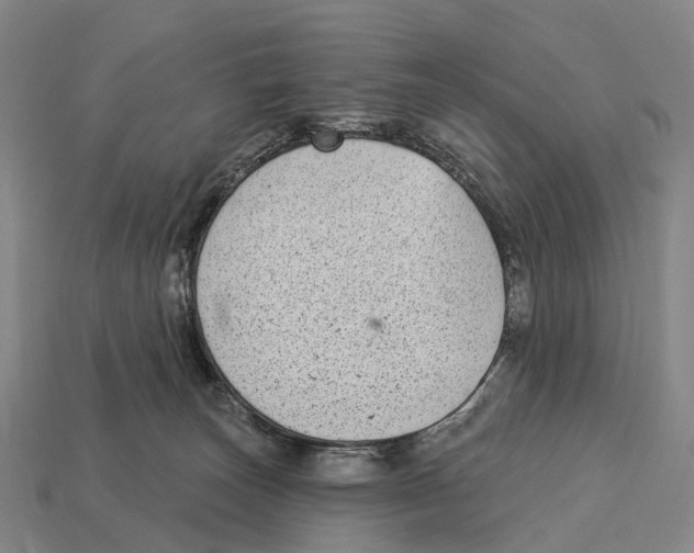 X0000113100179200909251039