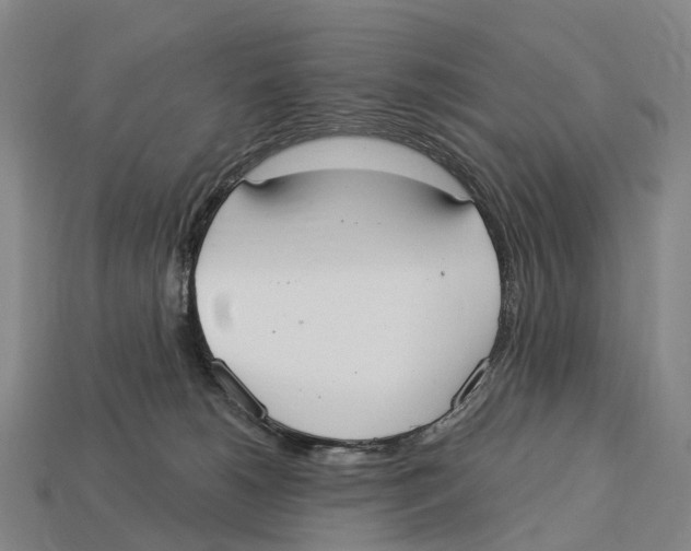 X0000113100180200909251039