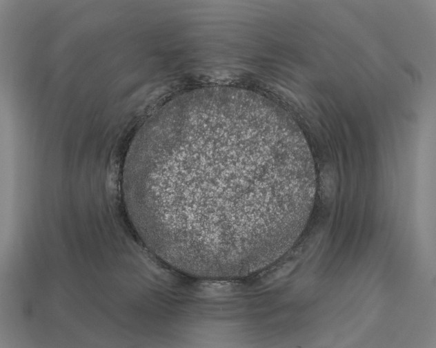 X0000113100181200909251039