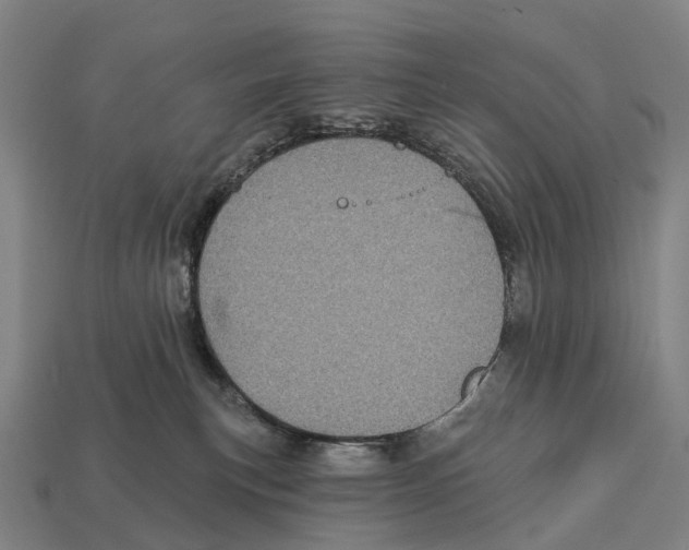 X0000113100183200909251039