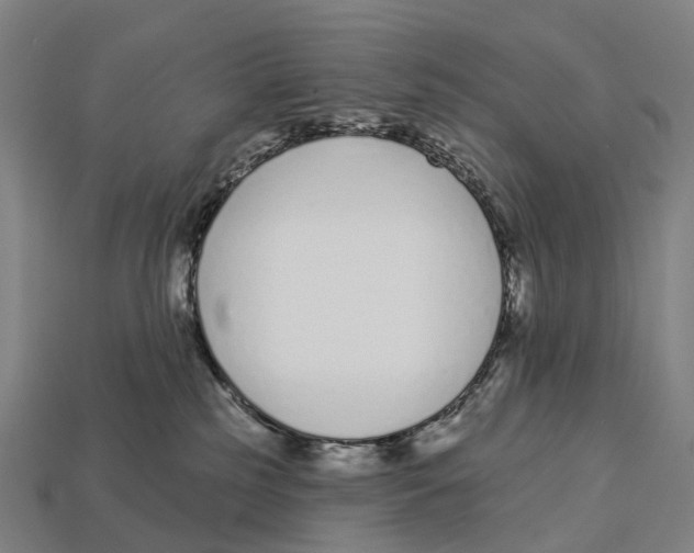 X0000113100185200909251039
