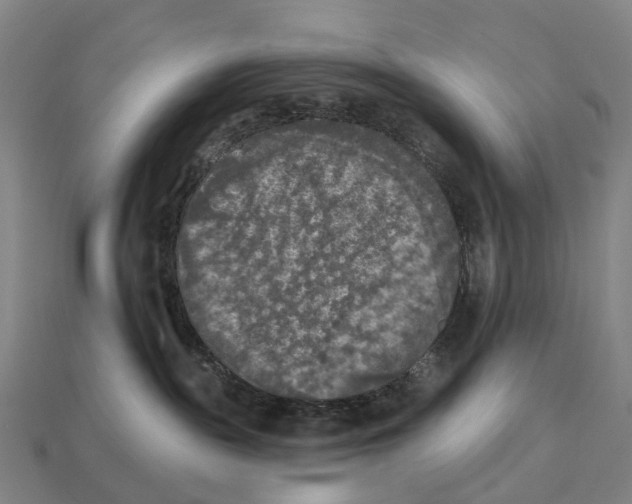 X0000113100189200909251039
